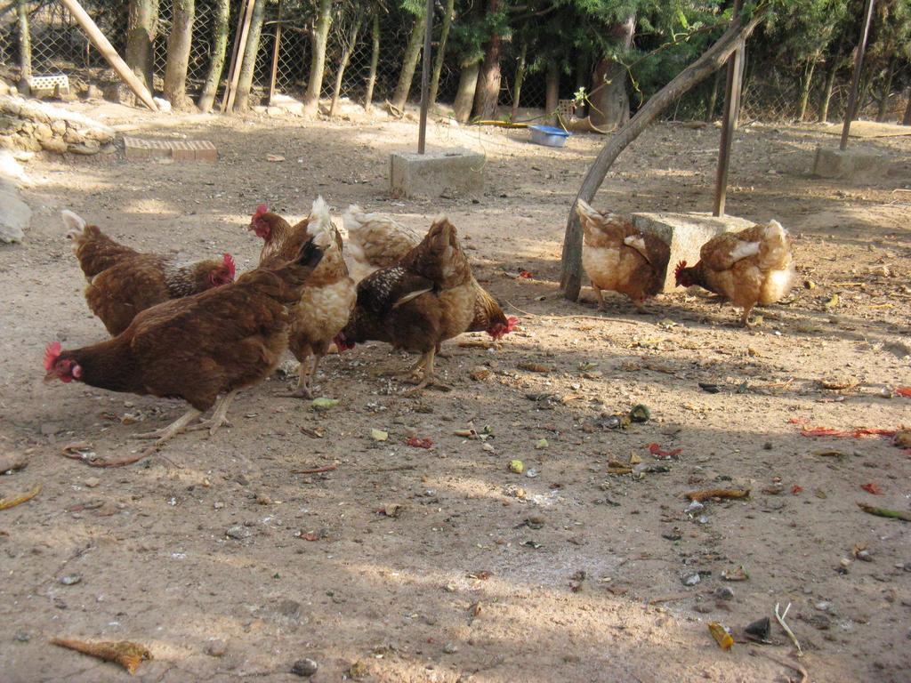 Finca Los Pinos Ξενοδοχείο Villanueva del Rosario Εξωτερικό φωτογραφία